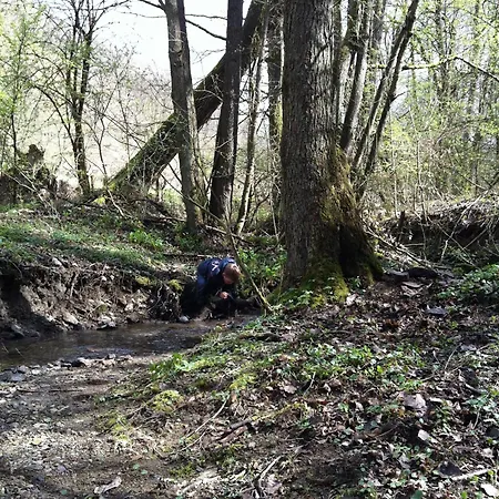 Livingstone וילה *